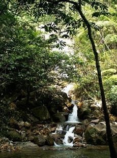 Waterfall